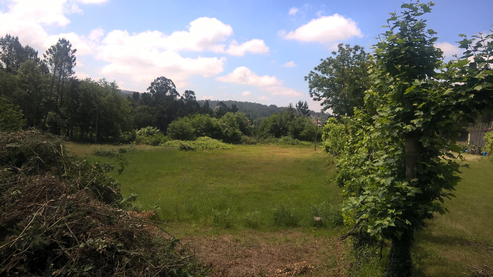Terreno 